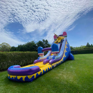 Toboggan aquatique gonflable pour crème glacée, toboggan aquatique long <span class=keywords><strong>avec</strong></span> <span class=keywords><strong>piscine</strong></span> amovible - Product Image 5