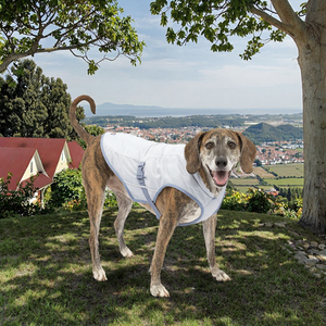 Hot-selling Blank Large Dog Cat Hoodie Customizable Windproof Cartoon Design Warm Cotton Fleece Pet Sweatshirt Birthday - Product Image 3