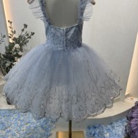 Gaun Tutu Balet Profesional Anak-anak yang Dihiasi, Tutu Pancake Tanpa Lengan dengan Renda Berhiaskan Batu Rhinestone untuk Anak Perempuan, Ideal untuk Pertunjukan.