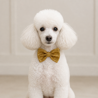 Ensemble de bandana et nœud papillon pour chien, luxueux et scintillant, accessoire élégant pour animaux de compagnie, foulard réglable pour chiot, nœud papillon pour usage quotidien