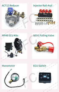 ชุดแปลง <span class=keywords><strong>AEB</strong></span> 5th-Gen <span class=keywords><strong>lpg</strong></span>/cng ระบบหัวฉีดโดยตรงสำหรับรถยนต์4สูบ - Product Image 5