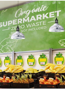 Nuevo listado LED luz blanca ventilador silencioso interior tres engranajes modo de luz ventilador techo E27 enchufe ventilador luz para dormitorio Cocina - Product Image 6