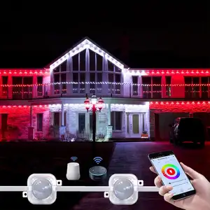 Fabrika doğrudan satış noel açık 100ft Rgbw Rgbw Led Led kalıcı açık Led ışık 72 sahne