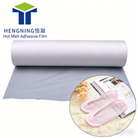 Film adhésif thermofusible HN pour le collage de tissus d'ameublement, tapis, rideaux, vêtements, laminage sans couture