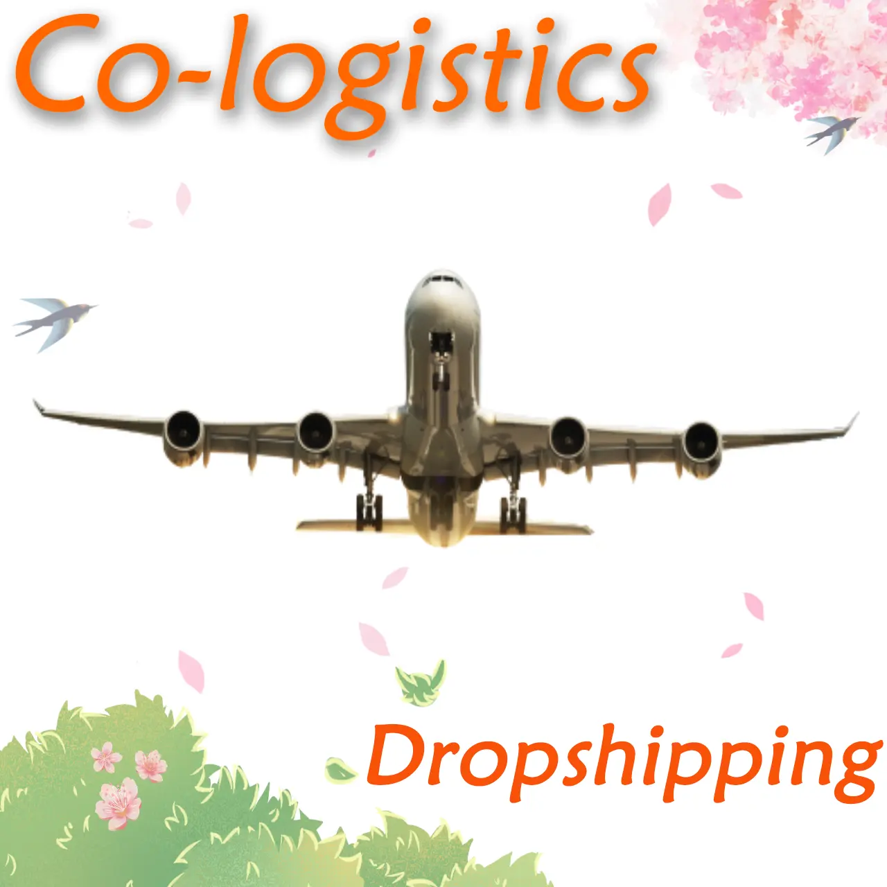 Cheap Air Shipping Rates International Freight Forwarder Air shipping from china to Egypt