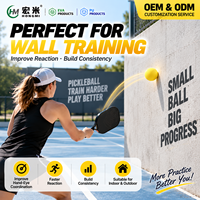 Direct usine : Entraîneur de rebond mural de pickleball en mousse pleine de 70 mm pour entraînement en intérieur, taille, couleur et emballage personnalisables, faible MOQ, OEM ODM