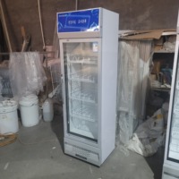 Vitrine Réfrigérée Verticale de 388 L, 5 Niveaux, Éclairage LED, Porte Vitrée Simple pour Boissons, Réfrigérateur d'Affichage pour Supermarché