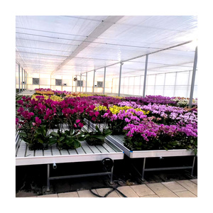 Wholesale Plastic <strong>Greenhouse</strong> Grow Table 3x6 <strong>4x6</strong> 4x8 4x24 ABS Plastic Hydroponic Grow Table - Product Image 3