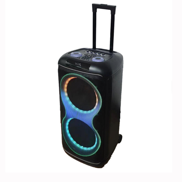 Outdoor Party Box Double 10-Inch Subwoofer RGB 60W LED Karaoke Built-in Mic Wireless 5.0 3600mAh Battery 5-10h Playtime Speaker
