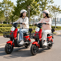 Nouveau vélo électrique à deux roues pour adultes, norme nationale - Approvisionnement transfrontalier direct d'usine