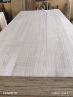 Prix de gros usine – Planche plate en bois de Paulownia 4x8 pour la construction