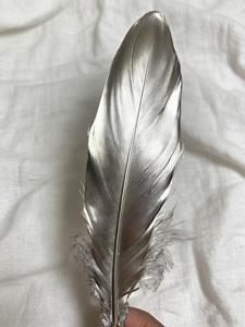 Venta barata 14-20 cm Patrón teñido en aerosol de plumas de ganso doradas y plateadas para decoración de sombreros de plumas DIY - Product Image 4