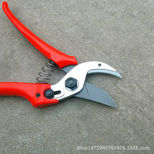 Sécateur de jardin Taiwan Mountain Wisteria 18 mm en acier inoxydable à coupe coupante pour l'élagage des arbres fruitiers - Product Image 3