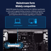 Lexar NM610 PRO M.2 NVME 250GB SSD 500GB 1T disque dur PCIe Gen3x4 Solid State Drive 2TB disque dur pour PC portable