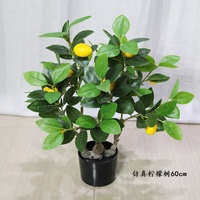 Caractéristiques des plantes artificielles, feuillage, traits décoratifs, arbre artificiel, citronnier vert, plantes artificielles plus variées