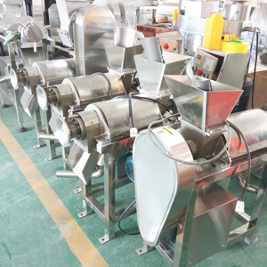 Extracteur de Jus <span class=keywords><strong>Commercial</strong></span> à Pression à Froid pour Fruits de la Passion, Pulpeur de Fruits, Petit Extracteur de Pêche et Gingembre, Machine à Jus d'Orange - Product Image 6