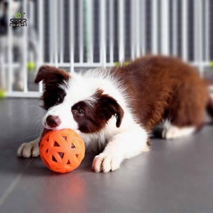 Trasparente viola popolare grande cane masticare palla giocattolo afferrare personalizzato produttore cane durevole giocattoli TPR - Product Image 1