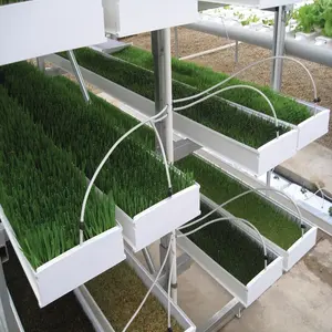 飼料機械水耕栽培トレイ完全な垂直マイクログリーン成長飼料トレイシステム豚、馬のための大麦草