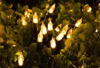 Guirlande lumineuse à bulles pointues, étanche IP44, boîte à piles, 8 fonctions, décoration intérieure pour Halloween, Noël, maison