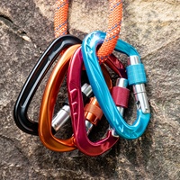 Mousqueton en aluminium à verrouillage automatique robuste pour l'escalade Rappeling Mountaineer Twist Lock 25kn Grands mousquetons d'escalade