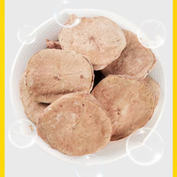Testicules de porc lyophilisés en gros pour chiens - Friandises naturelles riches en protéines pour animaux de compagnie, usine OEM, 100 % naturel, ingrédient unique