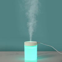 Humidificateur ultrasonique portable 200 ml mini USB avec lampe LED, diffuseur d'huiles essentielles, mini humidificateur d'air électrique pour la maison OEM YS