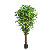 Arbre artificiel Ficus, tronc tressé réaliste, canopée ovale dense, pot noir mat, 90-180 cm, branches pliables, idéal pour les décorations de graduation