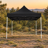Tente de réception 10x10 pieds unie, imperméable et résistante aux UV, personnalisable en gros pour usage extérieur