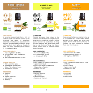 High Quality <b>Aromatic</b> Essential Oil Raw Material, Multiple Fragrances for Cosmetics, <b>Perfumes</b>, OEM - Product Image 6