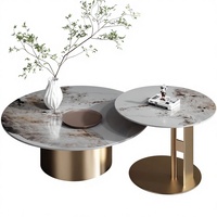Table basse de salon moderne et simple pour petit appartement, design minimaliste de luxe léger en acier et dalle de pierre haut de gamme