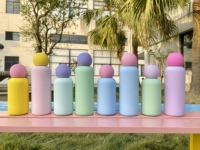 Offre Spéciale – Gourde Sportive Portable en Acier Inoxydable Mat 350 ml pour Étudiants et Enfants