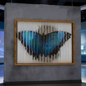 produttore galleggiano e piombino utilizzati come oggetti di scena per mostre e attività di divulgazione scientifica - Product Image 3