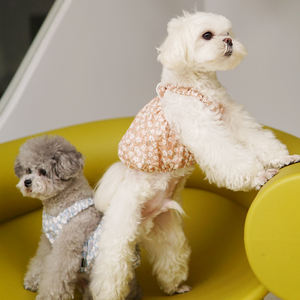 Vestido de verano con estampado Floral de calabaza y perro, diseño de encaje, medio círculo, novedad de <span class=keywords><strong>2022</strong></span> - Product Image 5