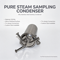 Échantillonneur de condensats de vapeur pur en acier inoxydable 316L