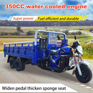 Tricycle moto benne basculante 9 roues pour passagers et marchandises, 300cc, <span class=keywords><strong>essence</strong></span>, carrosserie ouverte pour le transport de marchandises, <span class=keywords><strong>prix</strong></span> usine - Product Image 1