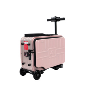 ELALA Fornitore <span class=keywords><strong>di</strong></span> Scooter Elettrico Biposto per Trasporto Bagagli, Elegante e Intelligente per Stand Fieristici e Tour - Product Image 2