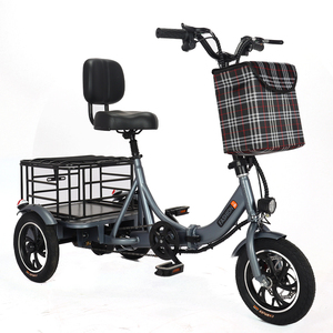 Triciclo Elettrico <span class=keywords><strong>Cargo</strong></span> 350W 48V per Adulti, Bici <span class=keywords><strong>Elettrica</strong></span> a 3 Ruote, Prezzo all'Ingrosso - Product Image 2