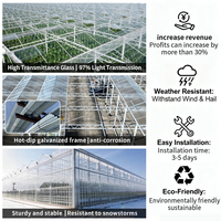Serre en verre de personnalisation professionnelle contrôle numérique système hydroponique 4 saisons serre agricole en verre