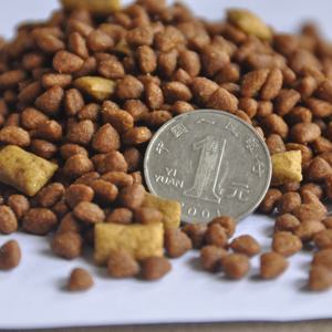 Oem odm מזון כלבים מותאם אישית מזון פרטי תווית תבואה סלמון חינם עבור כלבים בוגרים אומגה 3 משלוח מהיר b2b - Product Image 1