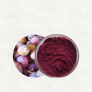 Jus de fruits de pruneau de qualité alimentaire de haute qualité concentré instantané poudre usine directe vitamine-ingrédient actif tambour emballé sous vide - Product Image 2