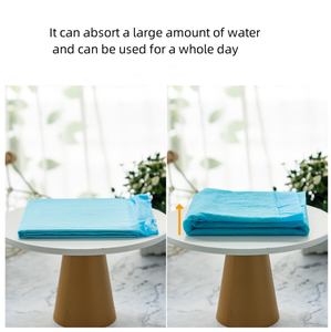 Toptan Özel Ekolojik Su Geçirmez Köpek Bezleri Evcil Hayvan İdrar Pedleri Koku Giderici Eğitim Tuvalet Pedleri - Product Image 3