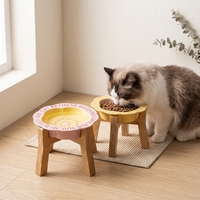 Bols en céramique solides portables surélevés pour petits chiens et chats, ensemble de supports inclinés pour aliments et eau, écologiques, pour usage extérieur