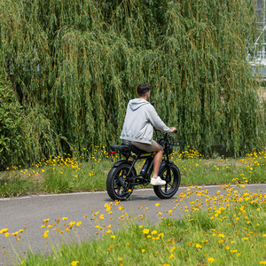 KOOLUX Bicicleta de Montaña con Neumáticos Anchos, Motor Eléctrico, Moped, Ebike X9PRO X9 PRO, Envío Rápido desde Almacén en Europa, Dropshipping - Product Image 6