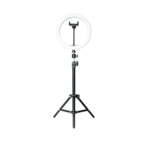 Anneau lumineux LED portable pour selfie, photographie et maquillage, 10 pouces, avec télécommande, support de téléphone et trépied, alimentation USB