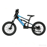 Bicicleta Eléctrica Infantil de 20 Pulgadas, 48V, 6.0AH, 1000W, Diseño sin Escobillas, Sensor Inteligente, Aleación de Aluminio y Litio, para Exteriores