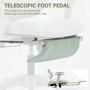 Ergonomic Lift <b>Office</b> <b>Chair</b> <b>with</b> Foot Rest Dynamic <b>Lumbar</b> <b>Support</b> 2D Headrest & Armrest - Product Image 2
