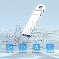 Memoria USB Metálica con Gancho, Precio de Fábrica, Personalizable, 1G 2G 4G 8G 16G 32GB 64GB