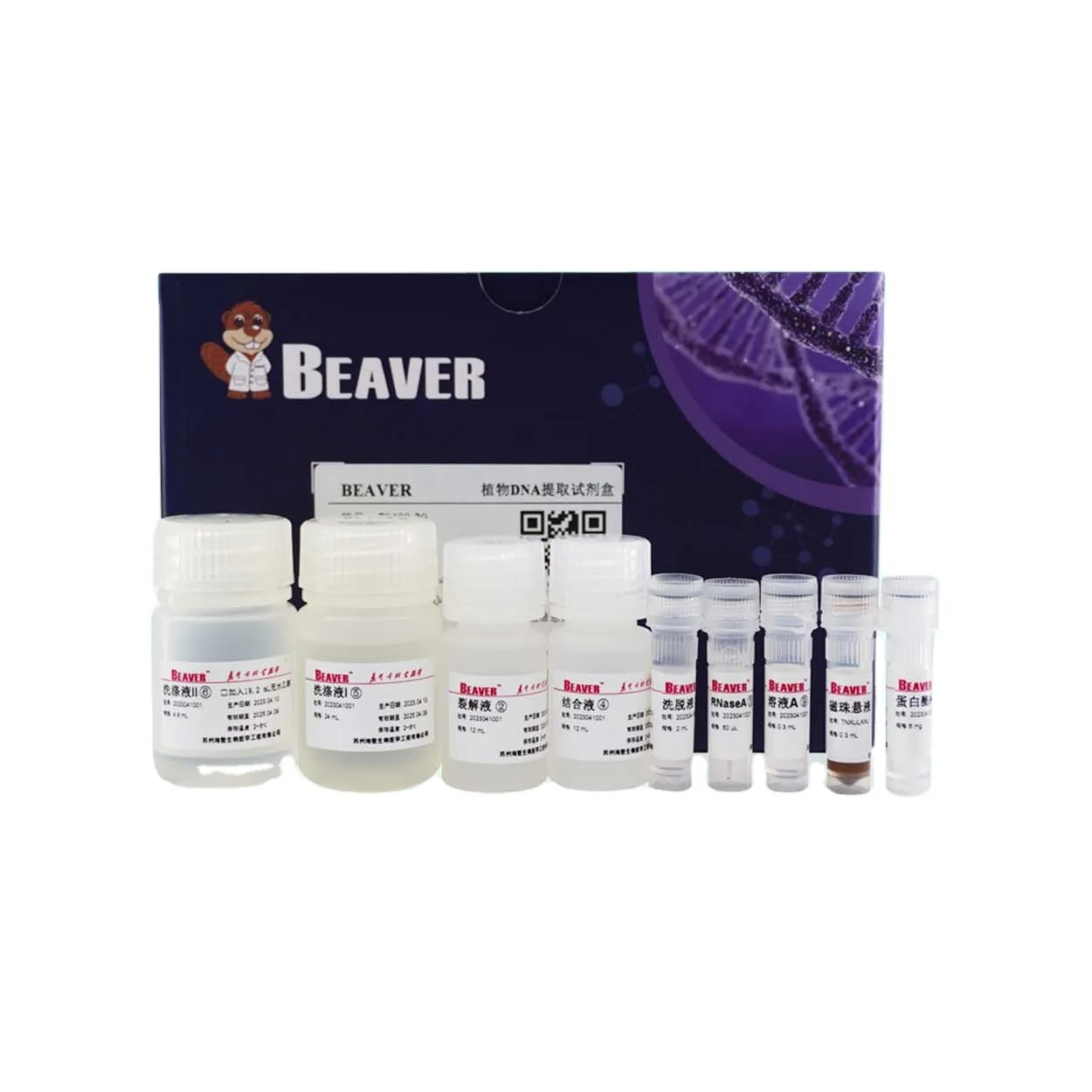 BeaverBeads Plant DNA Kit For Fast And Efficient Extraction In Scientific Research