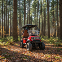Voiturette de golf électrique de luxe |   Batterie au plomb-acide Powermax 48V, moteur, autonomie 90 km, certifiée CE