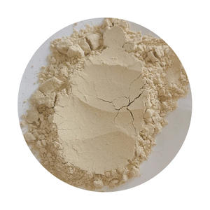 उच्च गुणवत्ता वाले पेलियम भूक बीज अर्क पाउडर पानी में घुलनशील आहार फाइबर भोजन प्रतिस्थापन सफेद हर्बल अर्क - Product Image 3